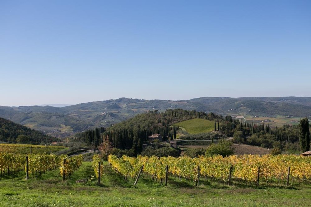Das romantische Weingut Tenuta Riseccoli im Chianti